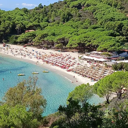 Vacanze Maestrale 페토바이아